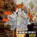 雙色咬鑽紙帽