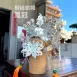 銀水鑽帽
