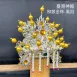 臺灣柳絲帽_銀底金珠