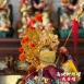 高級柳絲帽-雙色